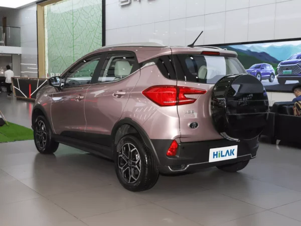 A pink BYD Yuan Pro electric car has a black spare tire hanging off the car, the picture was taken from the left rear view.