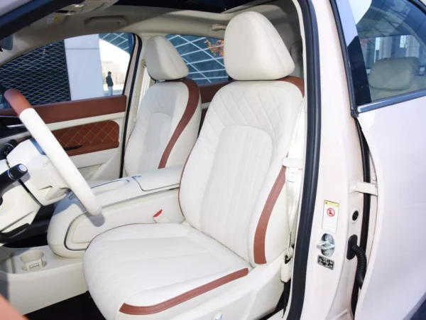 A detailed view of the interior cab of the Ora Funky Cat electric car, with cute white seats and pink accents.