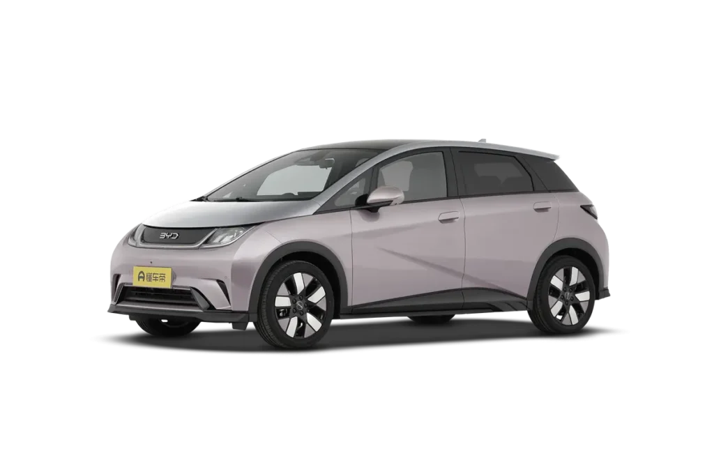 BYD Dolphin 2025 Smart Driving grey